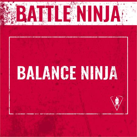 17/4 Balance Ninja
