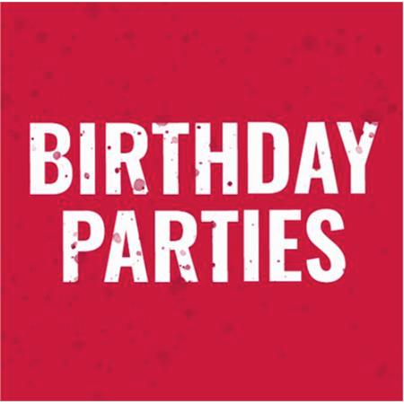 Birthday Party Booking - Up to 20 Guests